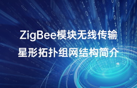 ZigBee模塊無線傳輸星形拓?fù)浣M網(wǎng)結(jié)構(gòu)簡(jiǎn)介