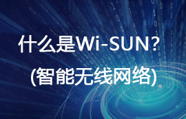 什么是Wi-SUN無線網(wǎng)絡(luò)？