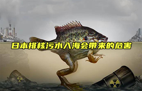 【科普視頻】日本排核污水入海會(huì)帶來(lái)的危害