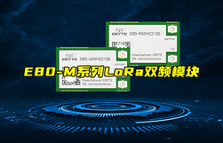 【新品推薦】E80-M系列雙頻LoRa模塊新品簡介